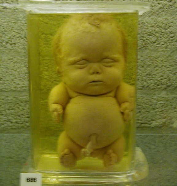 [museu22.jpg]