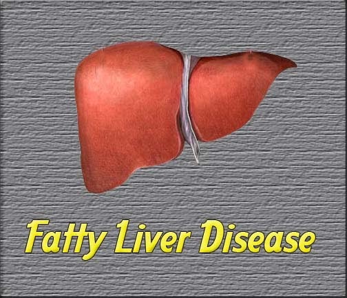 fatty-liver-disease-bearded-dragon-4.jpg