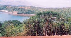 view from the mango grove neighborhood