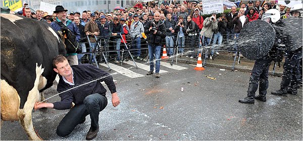 [MilkProtest600.jpg]
