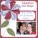 Help Us Adopt By Adding Our Adoption Button to Your Blog