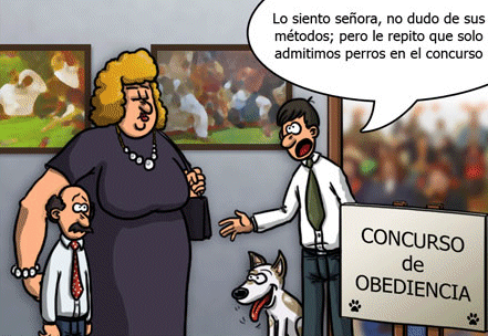 Image result for chites