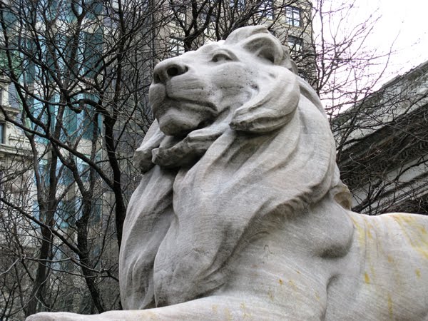 NY Public Library Lion