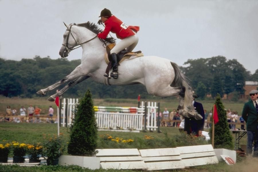 horse jumping photography