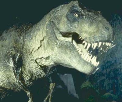 [400px-Jurassic_park_tyranosaurus_rex.jpg]