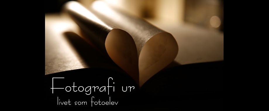 Fotografi ur