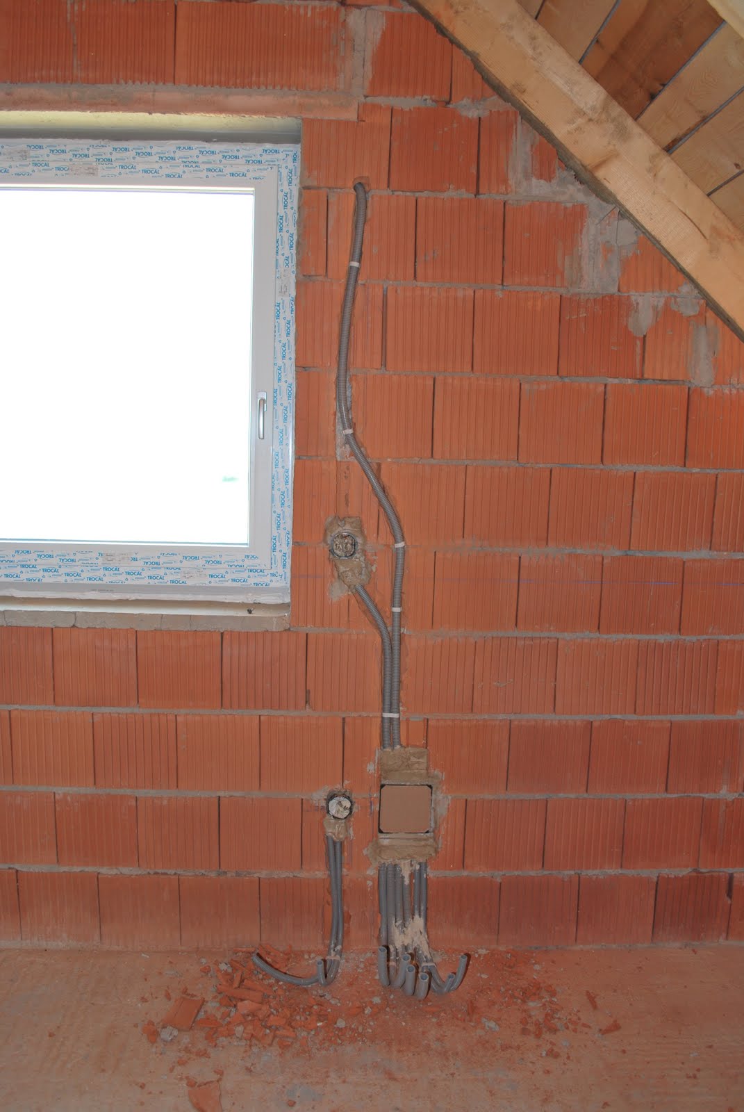 Diary Hausbau Juni 2010