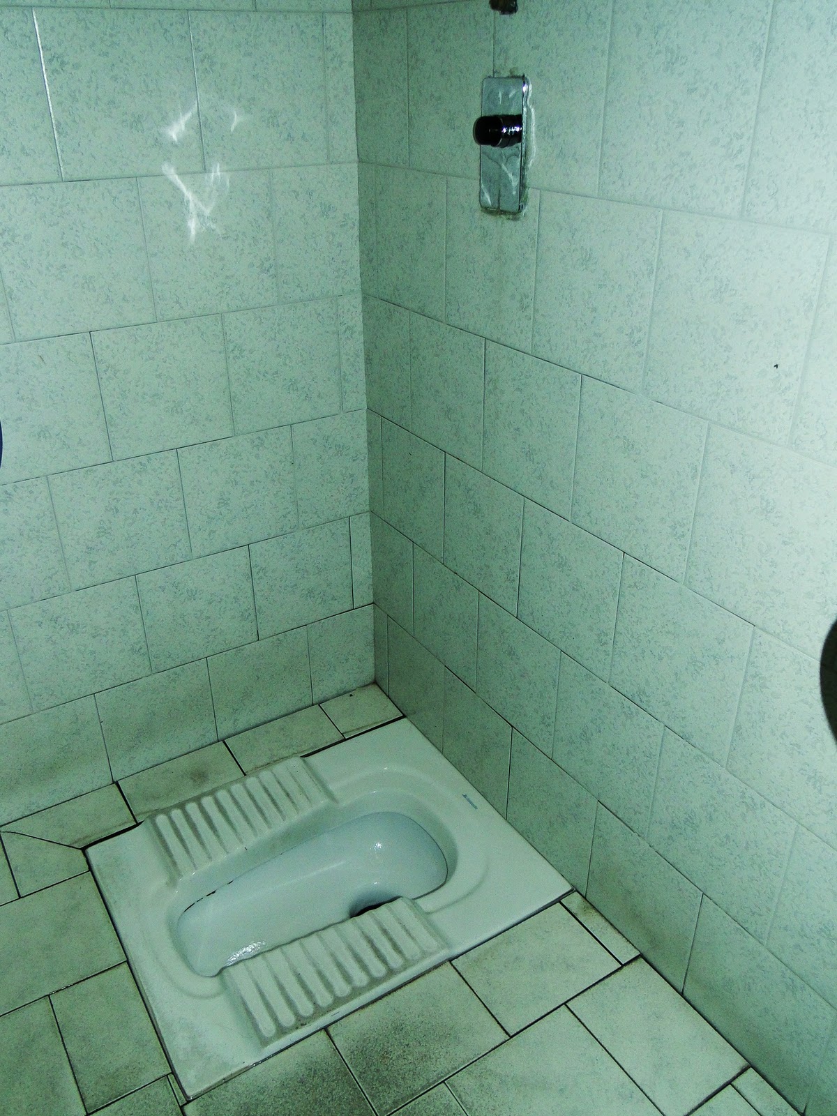 Vita in Italia 14.Ottobre.2010 "Ode to a Public Bathroom"