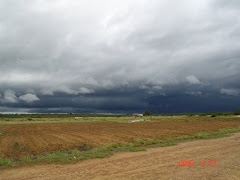 A chuva na caatinga