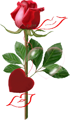 http://2.bp.blogspot.com/_EO2tYcxBcDs/SgzPZe--E7I/AAAAAAAAALo/BaJoUb67Qa8/s400/ROSA+BESOS+Y+CORAZON.gif