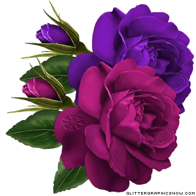 [ROSA+MORADA+Y+ROJA.gif]