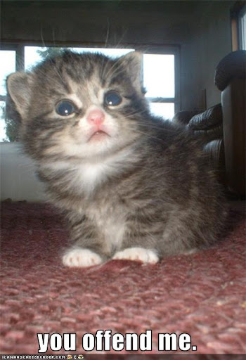 http://2.bp.blogspot.com/_EOTukOT4DeY/Sq6fMp9ouEI/AAAAAAAAAtM/HYlJbFNfrgQ/you+offend+me.