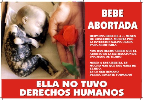 FIEBRE BEBE SIETE MES fiebre bebe siete mes: