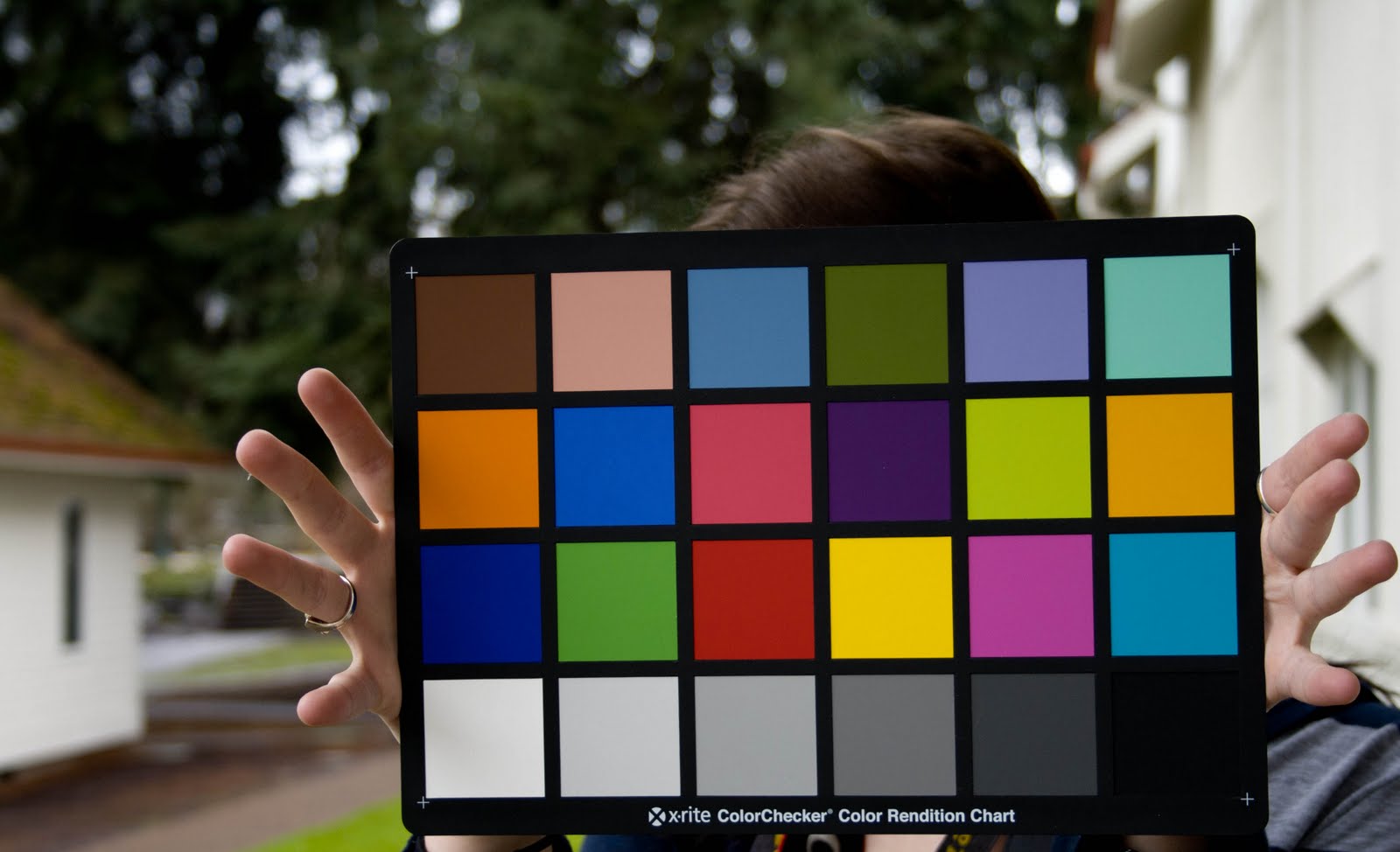 Digital Photo Color Checker Fun