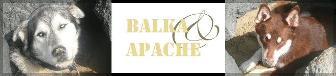 Apache et Balka