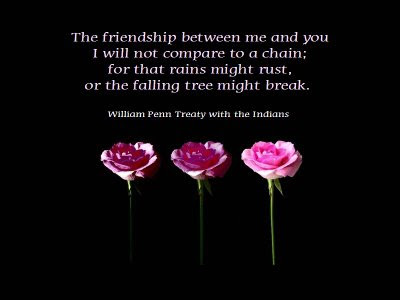 Funny friendship quotes