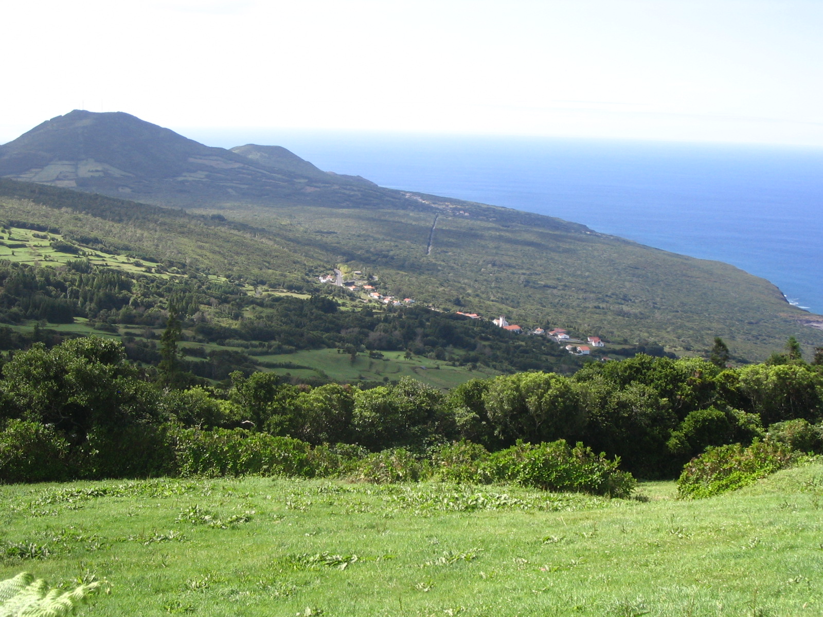 [Faial+391.JPG]