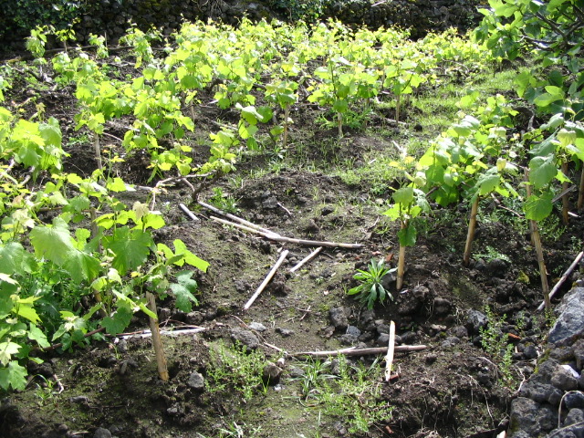 [pascoaDom+07+068.jpg]