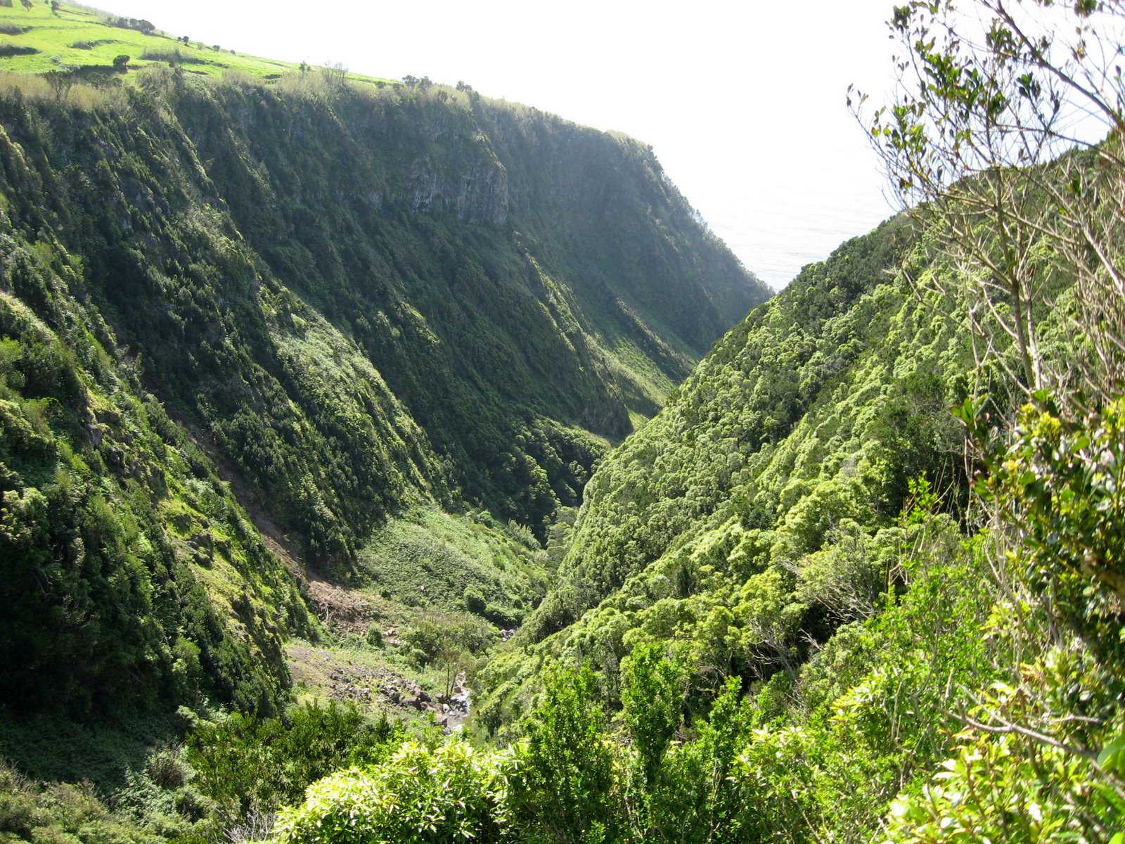 [ribeirafunda_0007+a.jpg]