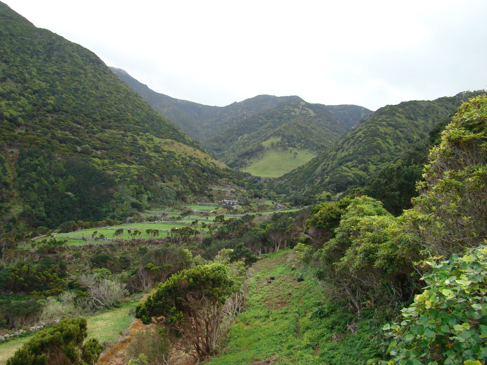 [DSC01893.JPG]