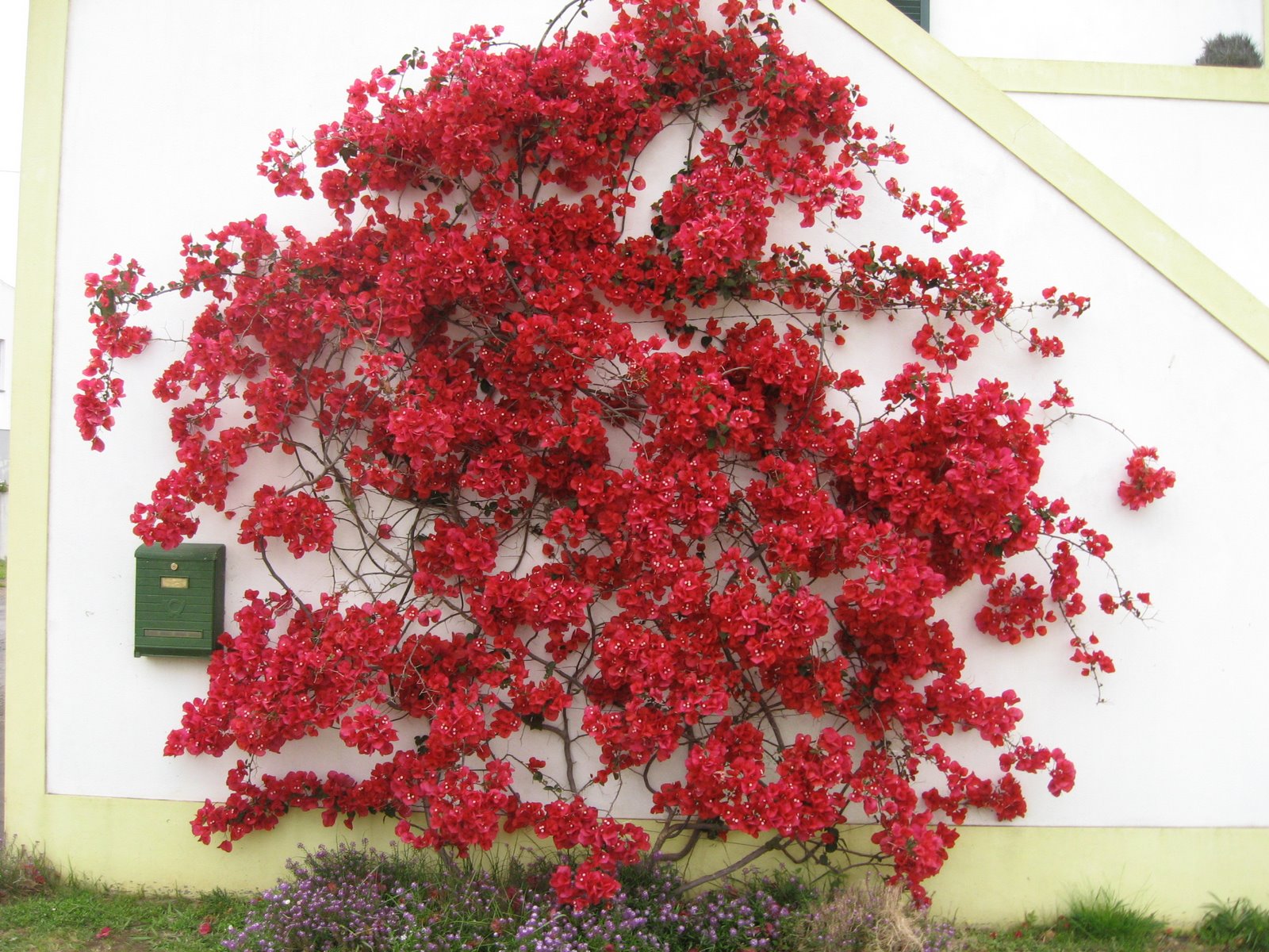 [Pentecostes09_015.JPG]