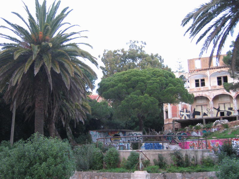 [IMG_0387_3_2.JPG]