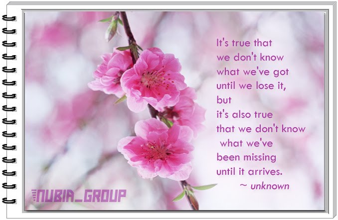 Secretaries Day April 17 2013 | just b.CAUSE Secretaries Day April 17 2013 | just b.CAUSE
