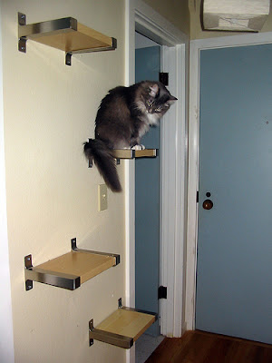 MI LLAVE ALLEN: Escalera para gatos