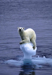 Cambio Climático