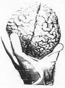 The Noetic Effect of Sin