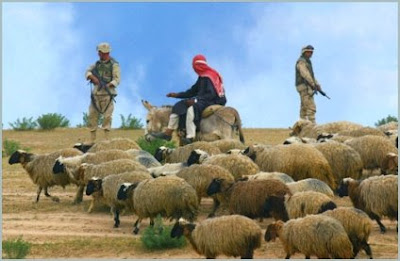 The True shepherd is right there in the midst, guarding His sheep