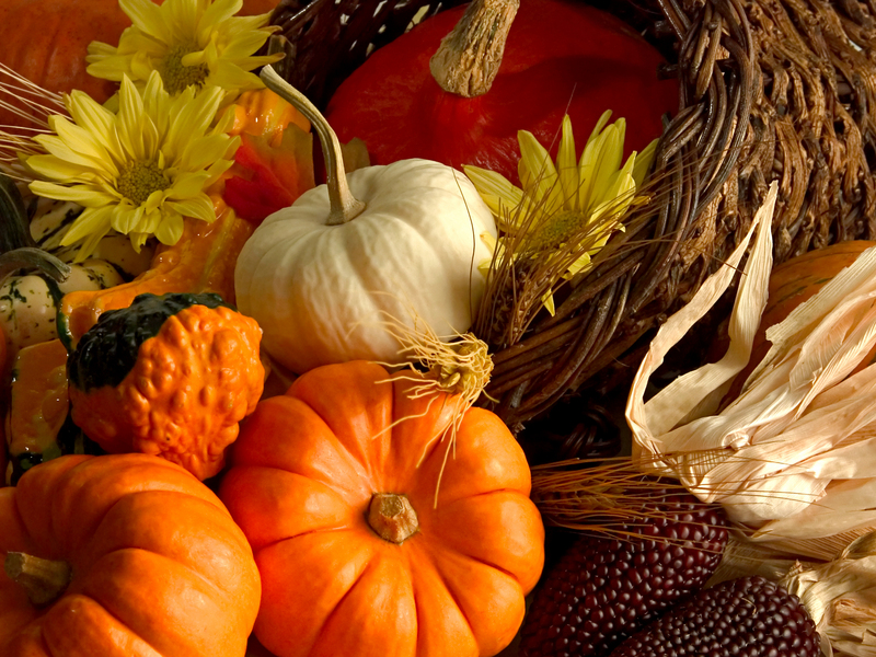 happy thanksgiving happy thanksgiving