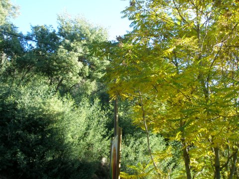 [pb070003.jpg]
