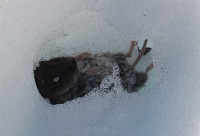 [DSC_0013.JPG]