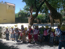 Jardim Zoológico