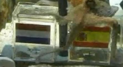 pulpo-paul-prediccion-espana-holanda-mundial-futbol-sudafrica.jpg