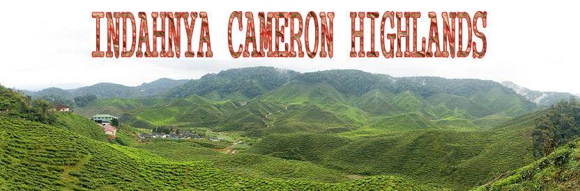 Cameron Highlands