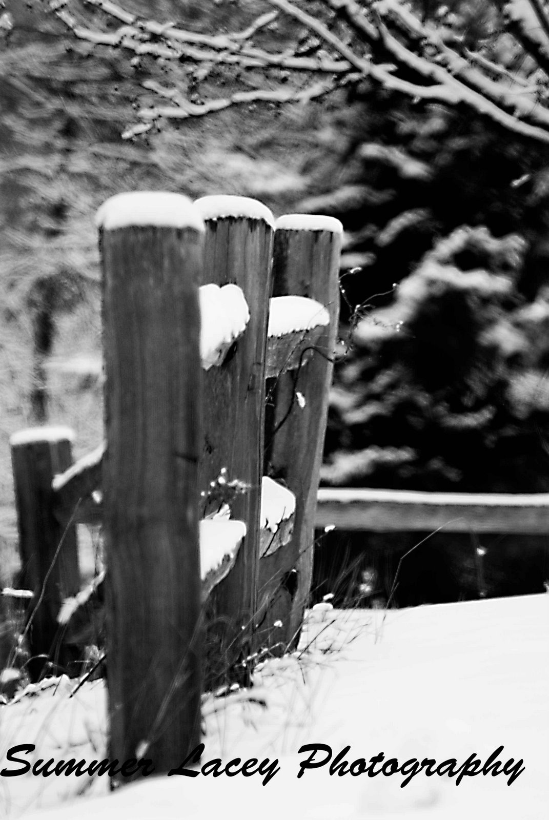 [_DSC5139_2_web.jpg]
