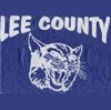 Lee County Alternate High School