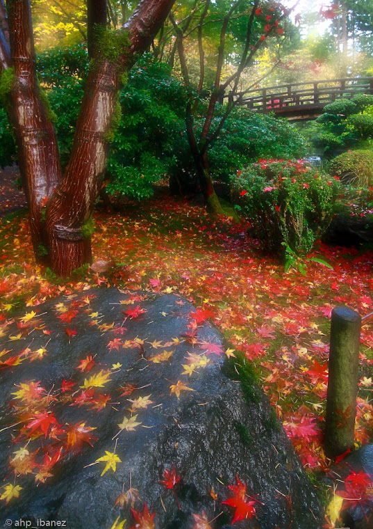 feng shui garden