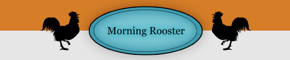 morning rooster