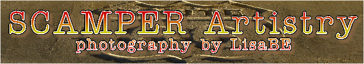 SCAMPER Artistry