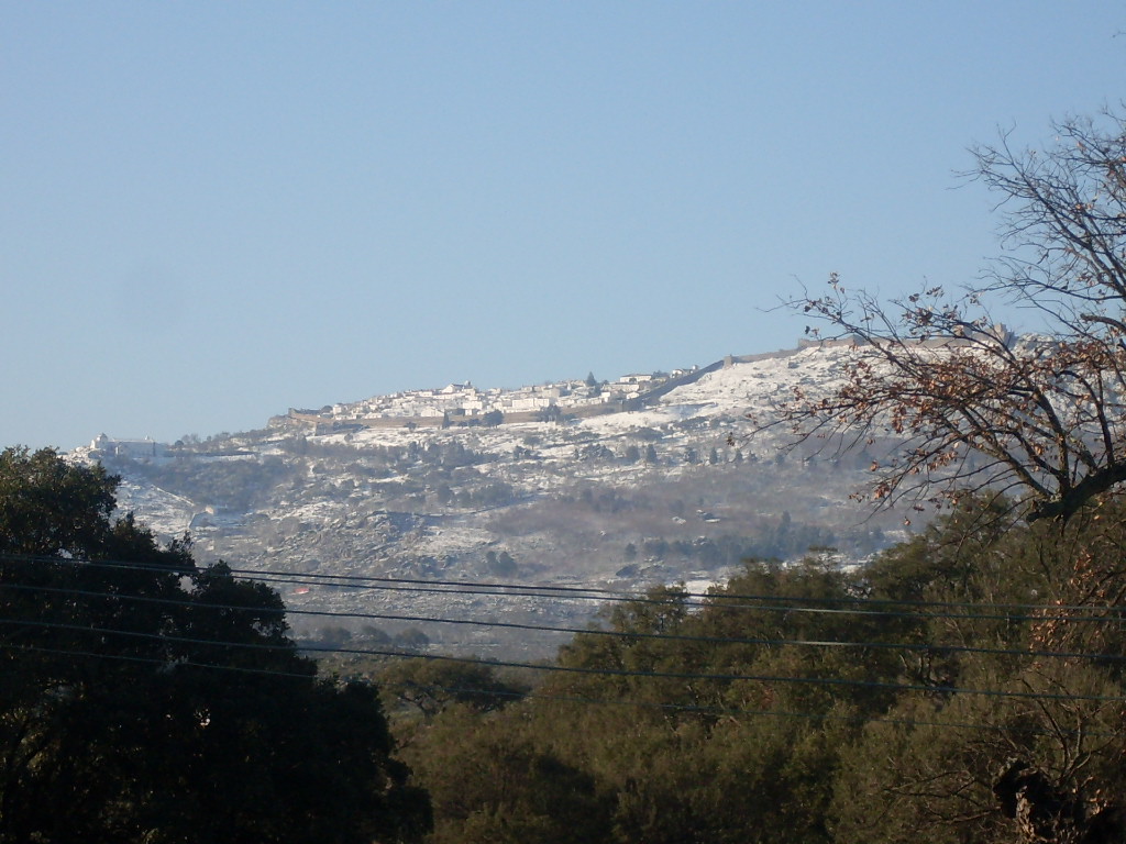 [SDC15505.JPG]