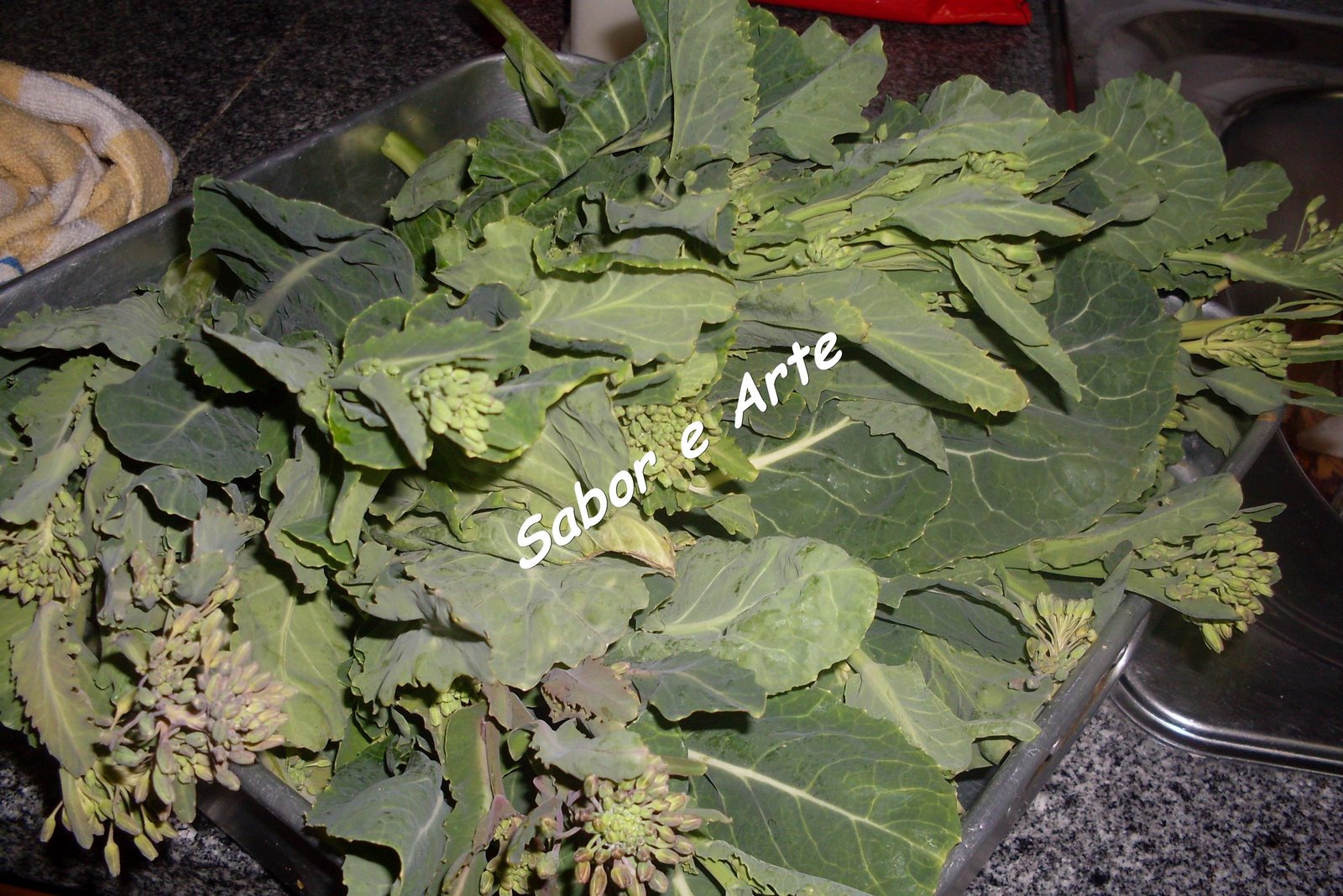 [SDC10761_final.JPG]