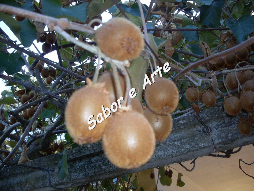 [SDC14532_final.JPG]