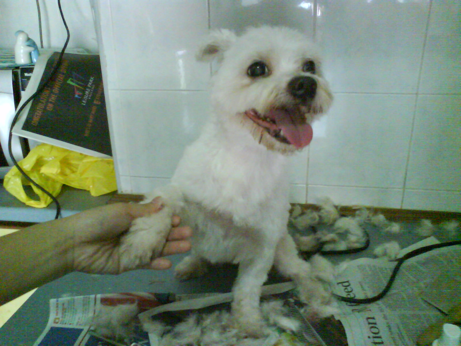 [DSC00004.JPG]