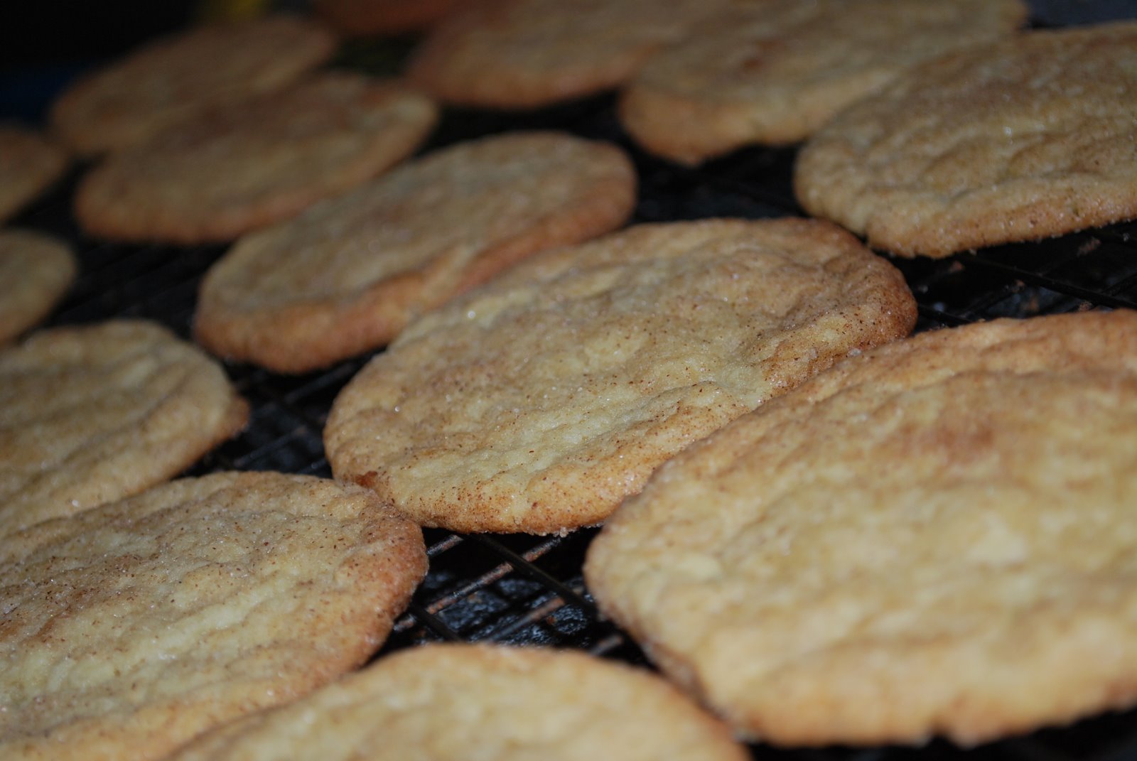 [Cookies+010.JPG]