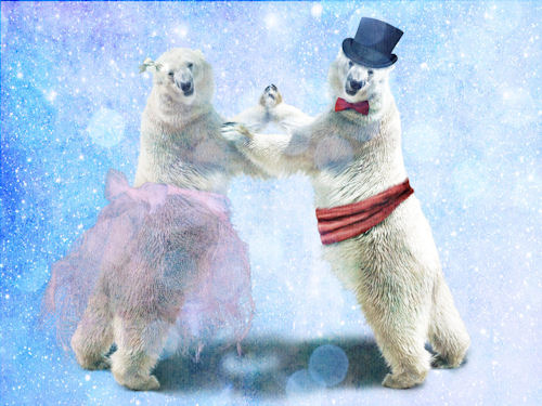 Fotografías, imágenes y dibujos de osos polares (+5000) | Banco de ...
