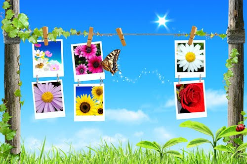 Wallpapers decorados con fotos de flores (9 imágenes)