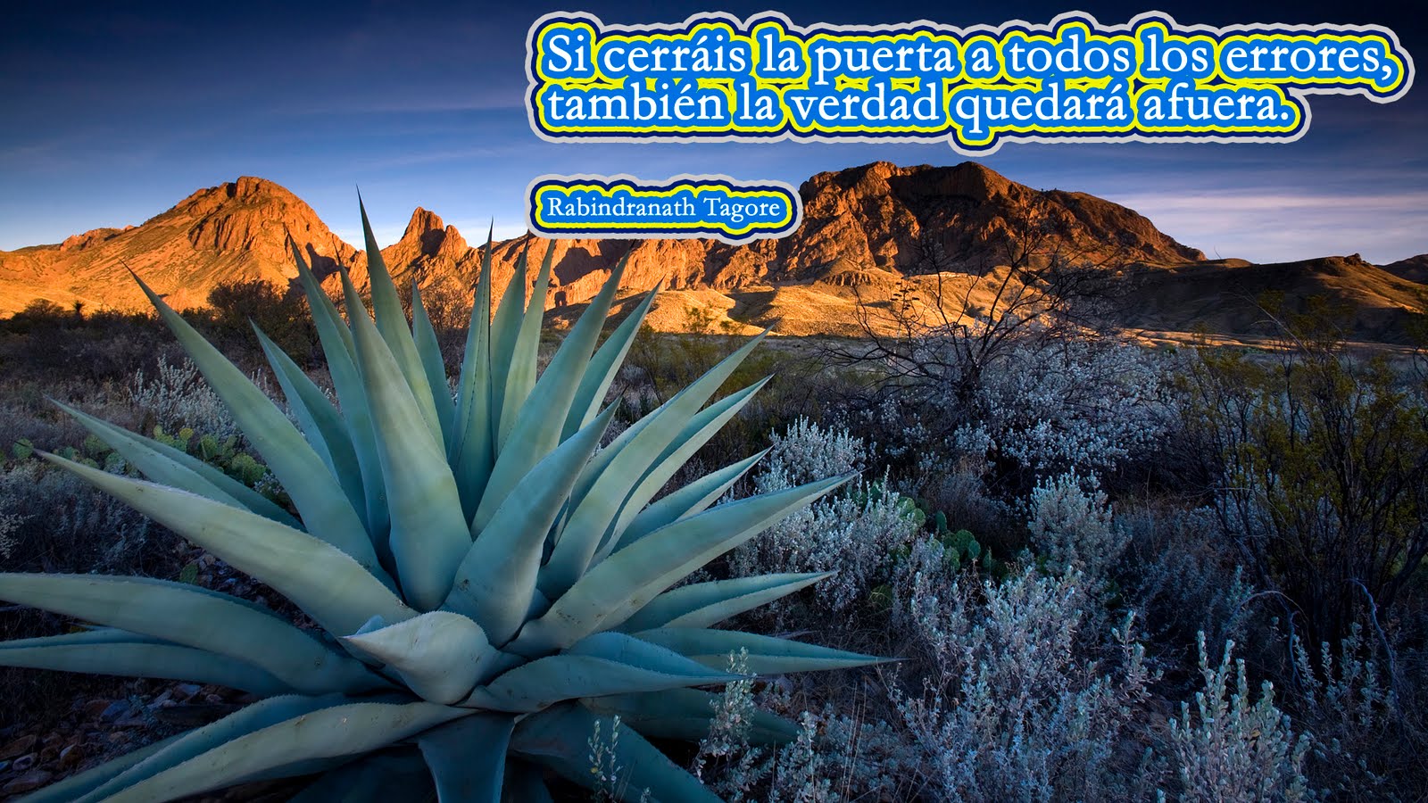 Resultado de imagen de banco de imagenes con frases